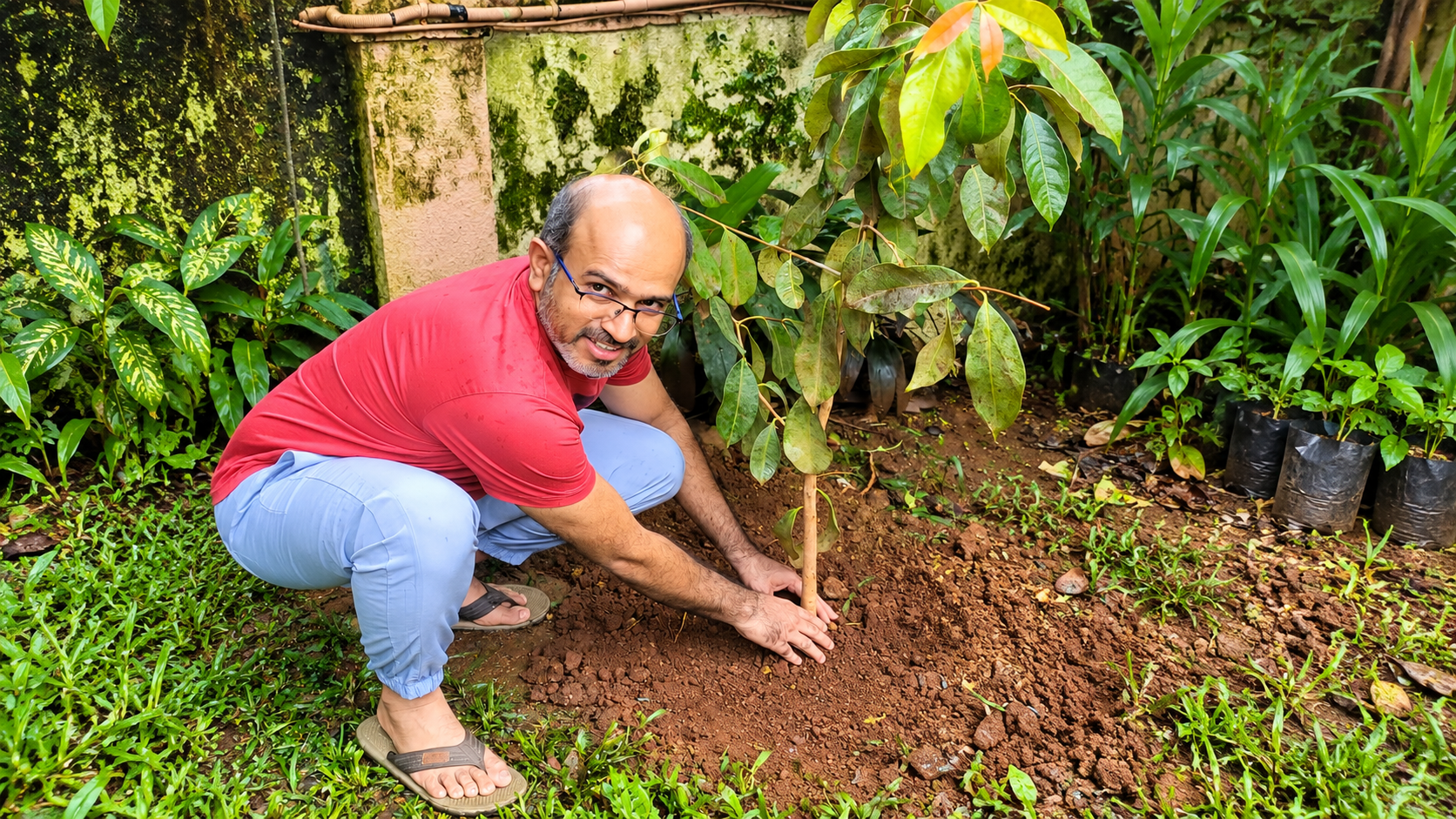 Plant Today, Breathe Tomorrow